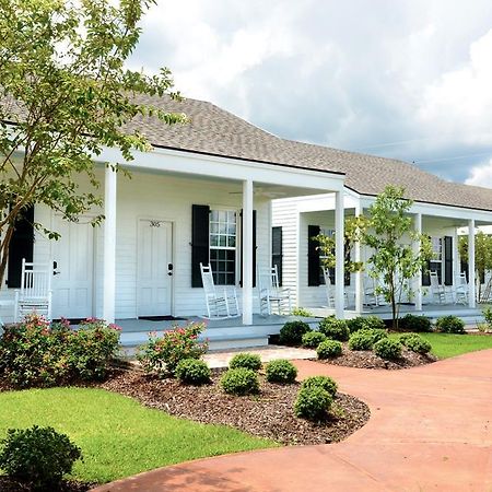 White Castle Nottoway Plantation And Resort מראה חיצוני תמונה